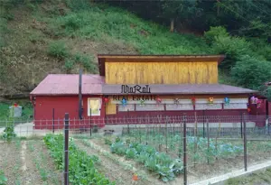 Casa renovata cu acces usor, langa padure - imagine 12