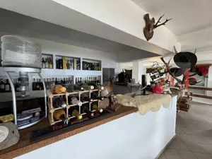 Proprietate turistică în Vârful Roman – Horezu, vedere panoramică - imagine 9