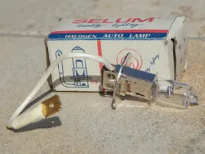 Bec auto halogen SELUM H3 SE 12V 55W PK 22s E19 la cutie - imagine 6