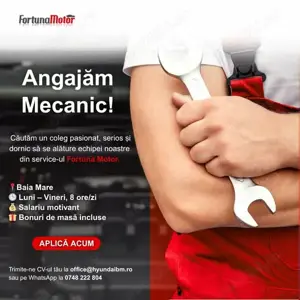 Mecanic Auto - Service Hyundai & Mitsubishi