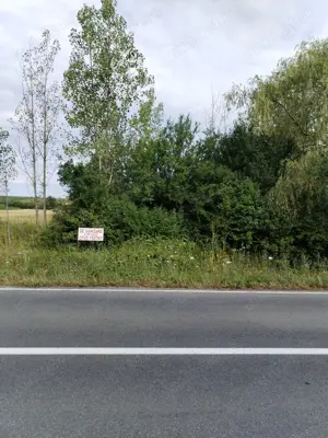 Teren Crasna, Varsolt, lac, Salaj