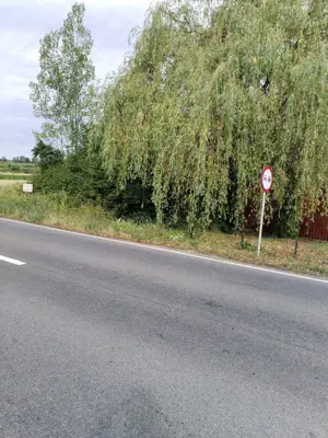 Teren Crasna, Varsolt, lac, Salaj - imagine 3