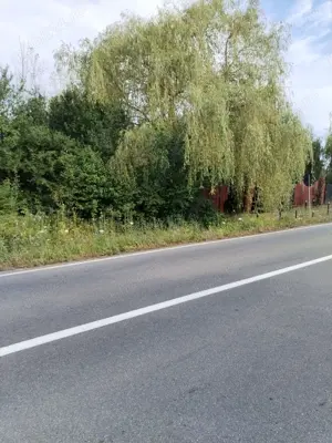 Teren Crasna, Varsolt, lac, Salaj - imagine 2