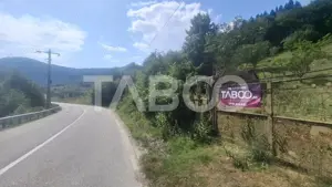 Teren 2500 mp Curmatura Rasinari 40 m deschidere la drum asfaltat - imagine 6