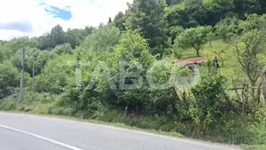 Teren 2500 mp Curmatura Rasinari 40 m deschidere la drum asfaltat - imagine 3