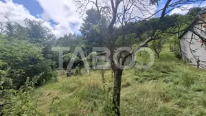 Teren 2500 mp Curmatura Rasinari 40 m deschidere la drum asfaltat - imagine 2