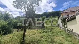 Teren 2500 mp Curmatura Rasinari 40 m deschidere la drum asfaltat - imagine 5