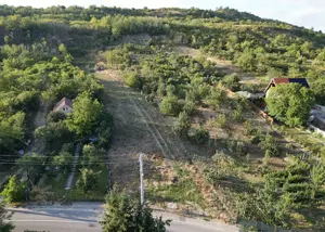 Teren intravilan   Loc de casa 3.300 mp. - cartierul podgoria - IMOBIHOR - imagine 6