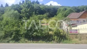 Teren 2500 mp Curmatura Rasinari 40 m deschidere la drum asfaltat - imagine 7