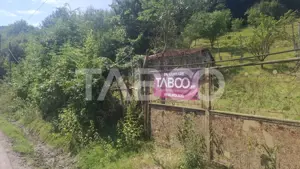 Teren 2500 mp Curmatura Rasinari 40 m deschidere la drum asfaltat - imagine 8