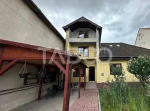 Casa individuala curte libera 300mp 8 camere zona Calea Poplacii Sibiu