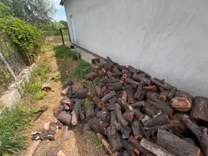 Vând lemne de foc, Holboca Rusenii vechi - imagine 2