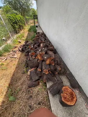 Vând lemne de foc, Holboca Rusenii vechi