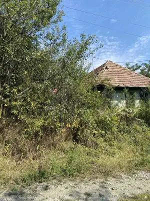 Casă de vânzare în Diosod   17 ar teren, zonă cu potențial