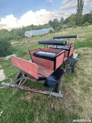 vand trasura frumosa - imagine 2