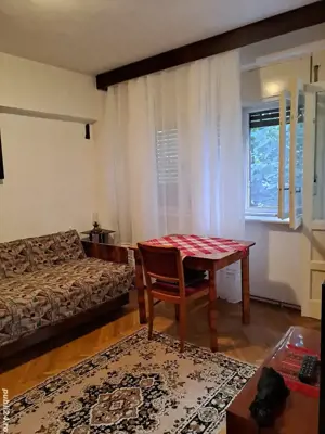 Aproape de complexul studentesc-Cu centrala -garsoniera et.1 - imagine 2