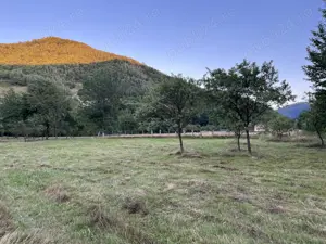 Vand teren in localitatea Costesti Hunedoara - imagine 5