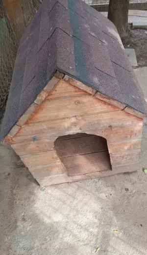 Vând cușcă câine - imagine 2