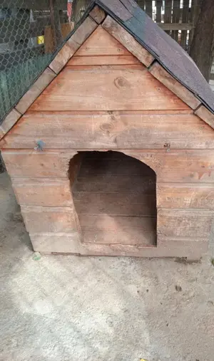 Vând cușcă câine