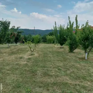 Vând teren - imagine 3