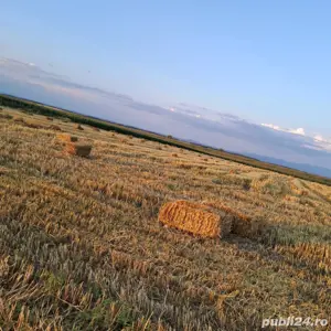 Baloți paie ovăz și grâu - imagine 2