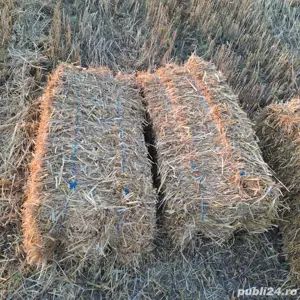 Baloți paie ovăz și grâu - imagine 3