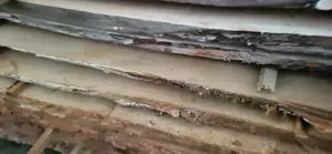 Cherestea de stejar si cires uscata