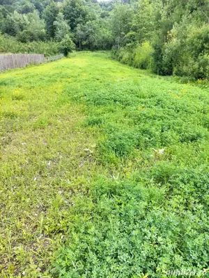 teren de vanzare - imagine 2