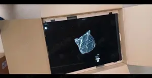 Plita cu inductie Bora Puru-F-100