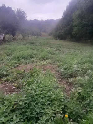 vind teren+cladiri in Slanic Prahova. - imagine 4