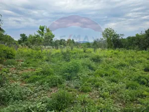 Comision 0! Casa din inima Subcarpaților — comuna Cislau, teren 5000mp - imagine 18