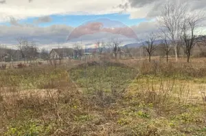 Comision 0! Casa din inima Subcarpaților — comuna Cislau, teren 5000mp - imagine 16