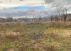 Comision 0! Casa din inima Subcarpaților — comuna Cislau, teren 5000mp - imagine 17