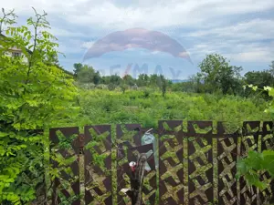 Comision 0! Casa din inima Subcarpaților — comuna Cislau, teren 5000mp - imagine 20