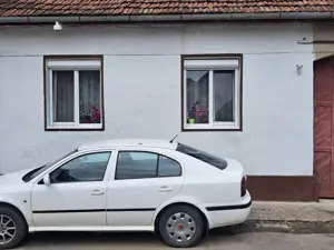 De vazare Casa in Timisoara.