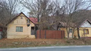 Casa de vanzare in satul Odvos (comuna Conop) - imagine 2