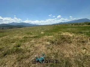 Teren Intravilan Rasnov 7.500 mp - imagine 5