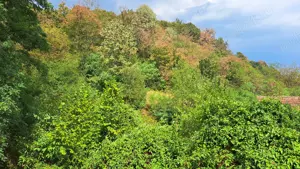 Casa de vanzare in satul Odvos (comuna Conop) - imagine 8