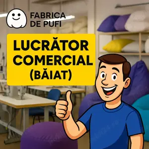 Fabrica de Pufi și Perne angajează: LUCRĂTOR COMERCIAL (BĂIAT)