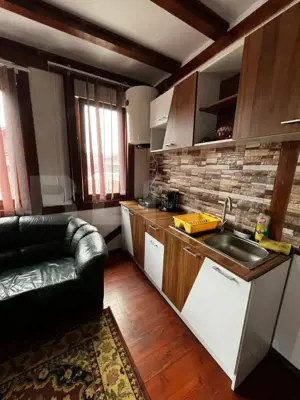  Cabana 3 dormitoare Baile Figa  - imagine 3