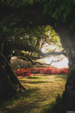 Caut tovarășă de zâmbete și aventuri spontane!   