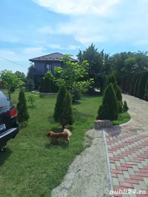 Vând casă Sculeni Iași