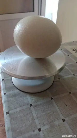 Ouă de struți de vânzare  - imagine 2 Ouă de struți de vânzare  - imagine 2