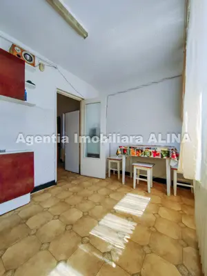 Apartament cu o camera in Deva, zona Progresului, Str. George Enescu, 42 mp... - imagine 19