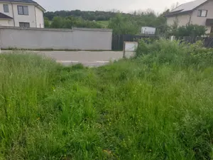 SUPER OFERTĂ   11.335 mp2  doar 99.000 Proprietar vand Teren GlambocDEal Bascov