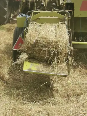 Vând baloti de fân azi balotati