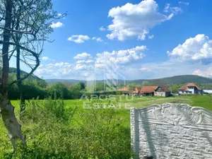 Teren intravilan, partial imprejmuit, eligibil grant- Pojoga, com. Zam - imagine 9