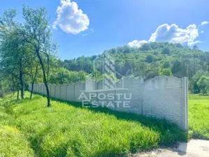 Teren intravilan, partial imprejmuit, eligibil grant- Pojoga, com. Zam - imagine 4