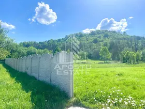 Teren intravilan, partial imprejmuit, eligibil grant- Pojoga, com. Zam - imagine 7