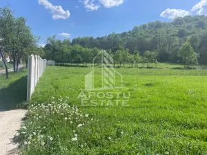 Teren intravilan, partial imprejmuit, eligibil grant- Pojoga, com. Zam - imagine 6